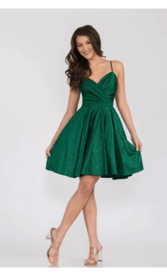 Vestido Corto-3075